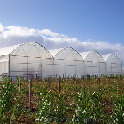 Shine Tech Multi Span Estufa de Película Plástica para o Cultivo de Tomate e Morango