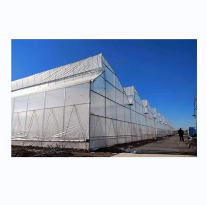 Grande Estufa de Dentes de Serra Shine Tech Poly Tunnel Estufa Tropical Com Ventilação