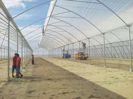 Grande Estufa de Dentes de Serra Shine Tech Poly Tunnel Estufa Tropical Com Ventilação