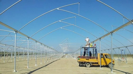 Grande Estufa de Dentes de Serra Shine Tech Poly Tunnel Estufa Tropical Com Ventilação