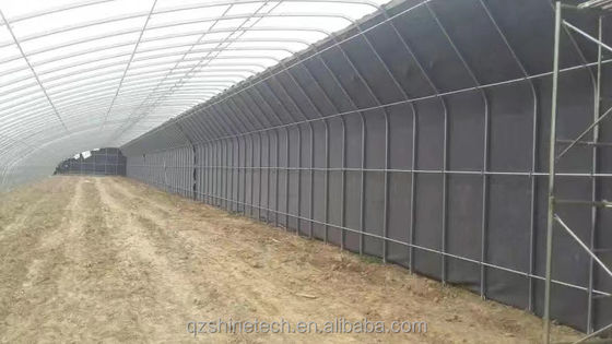Estufas solares revestidas por filme para o cultivo sustentável de pepino de inverno