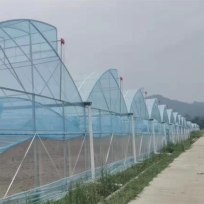 Grande Estufa de Dentes de Serra Shine Tech Poly Tunnel Estufa Tropical Com Ventilação