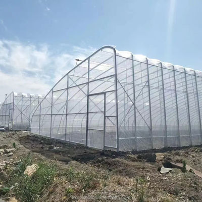 Estufas solares revestidas por filme para o cultivo sustentável de pepino de inverno