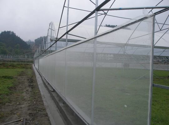 30-150G Rede de sombra de estufa de proteção contra os UV HDPE e rede à prova de insetos para controlo de pragas