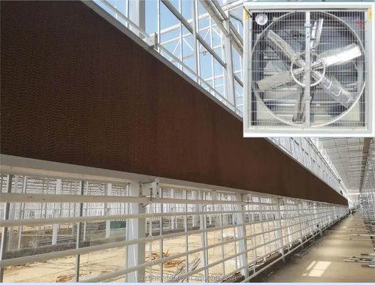 Ventilador de escape de fluxo de ar grande para sistema de ventilação de casa de aves de capoeira de estufa 60KG
