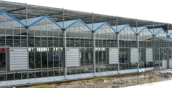 380/220V Indústria de aves de capoeira Ventilação de estufa Ventilador de escape e almofada de arrefecimento