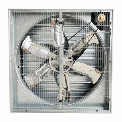 Ventilador de escape de martelo pesado montado na parede para sistema de arrefecimento de frangos de frango da quinta de aves de capoeira